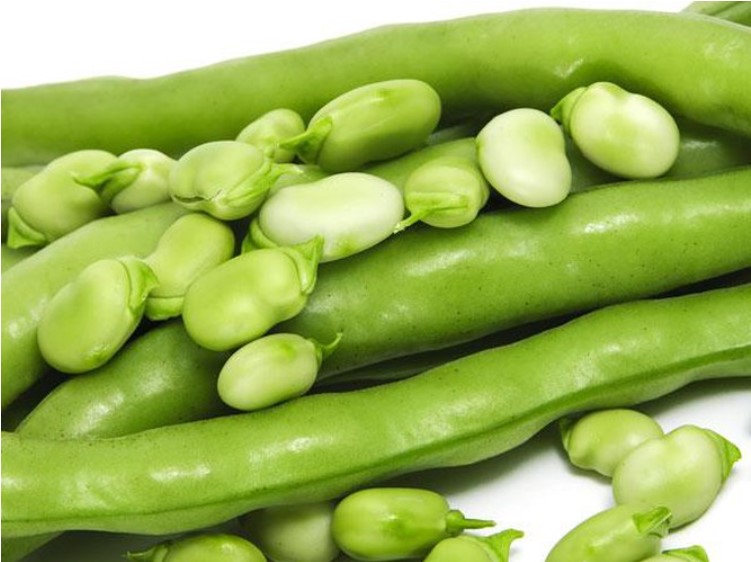 Trong các thực phẩm ăn rau gì giảm mỡ bụng thì đậu que được xếp đầu tiên